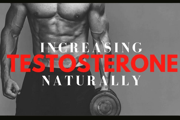 weight traininig testosterone