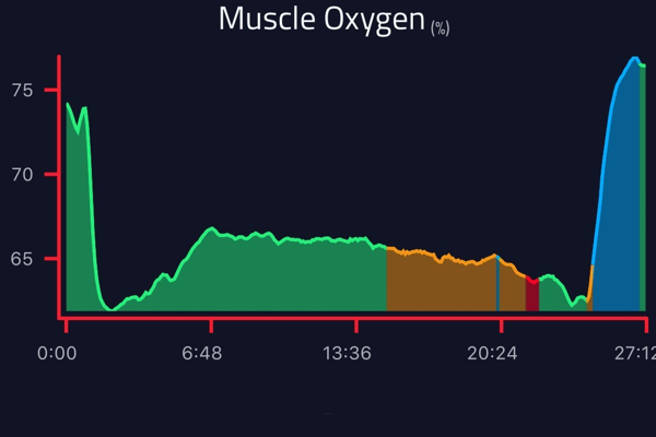 Palm Fitness Muscle Oxygen